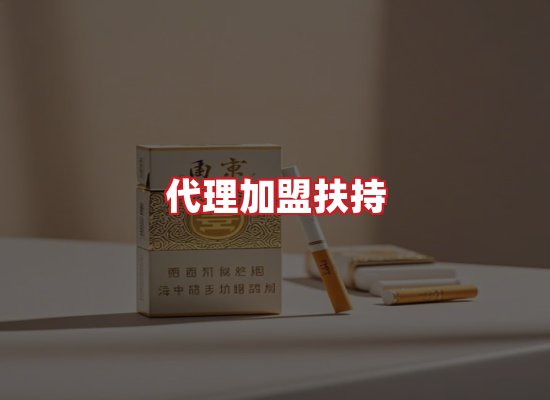 专业团队